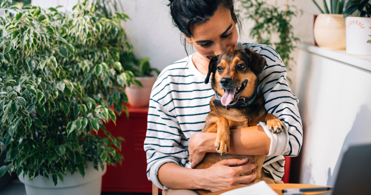 Smiling Woman at Home while her Dog is Sitting on her Lap Surrounded by Houseplants