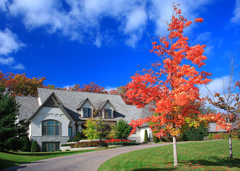 A house with a red leafed tree sitting on a lawn on a sunny day