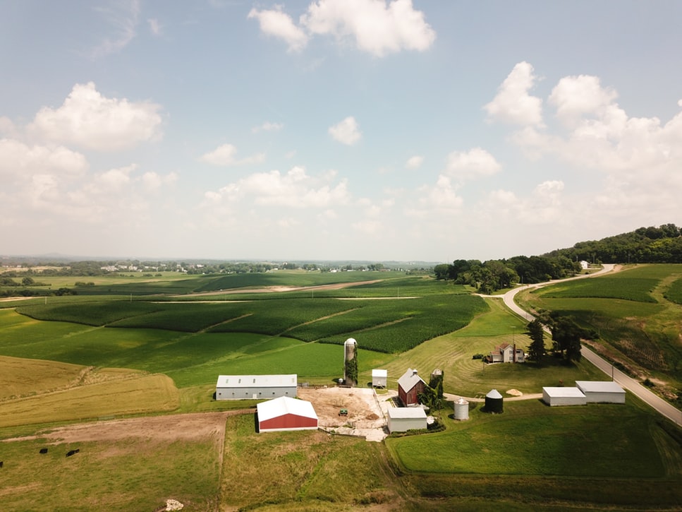 Rural View