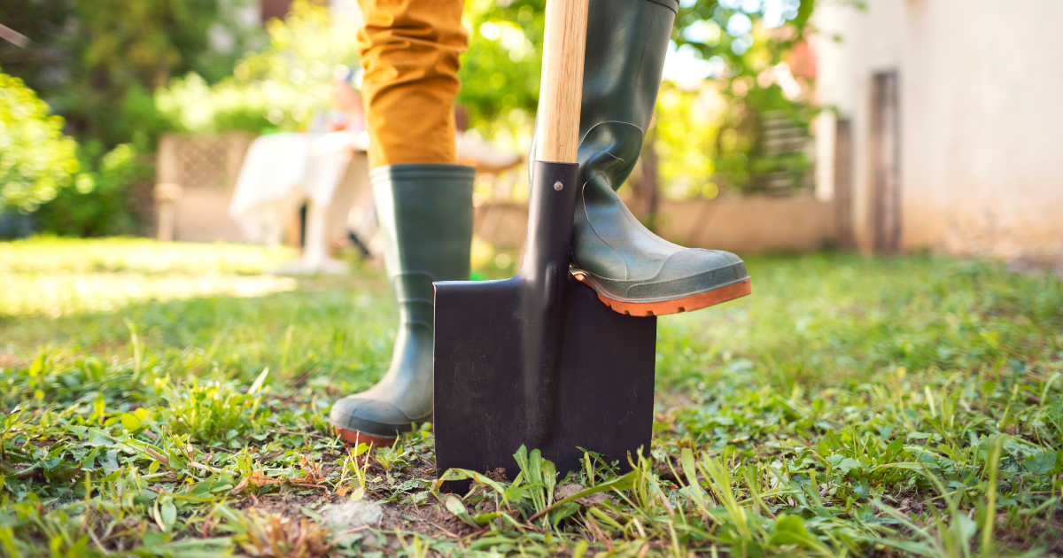 Close-up shot of an unrecognizable gardener standing in his backyard with shovel pinned to the ground.