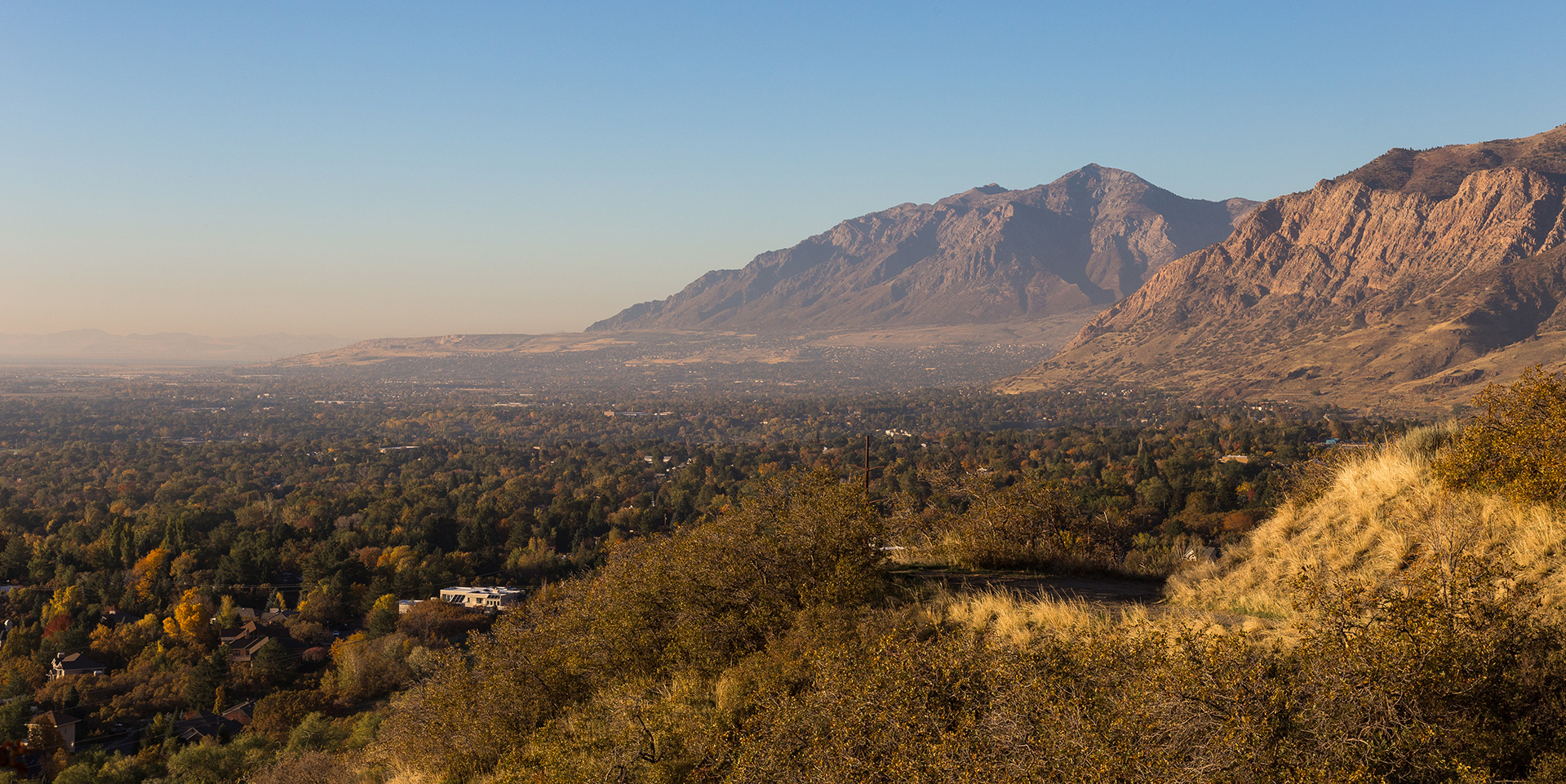 Ogden View