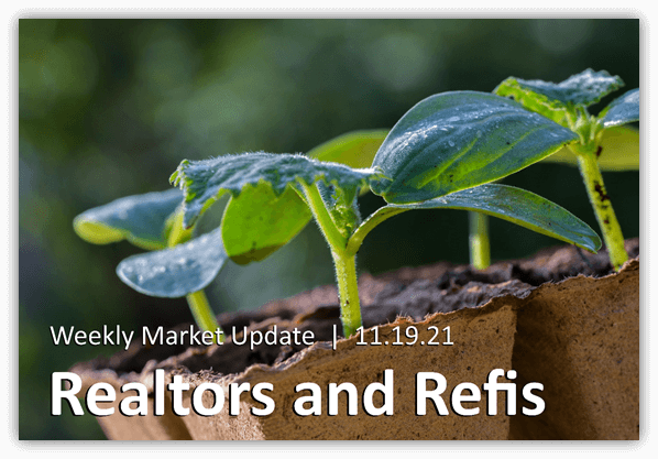 Realtors and Refis cover - starter plants in dirt