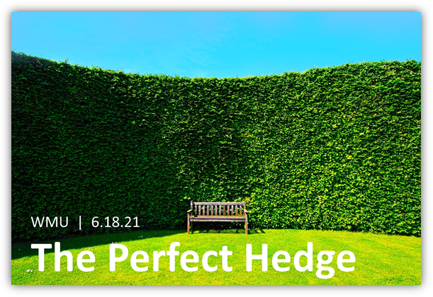 The perfect hedge with a bench out front