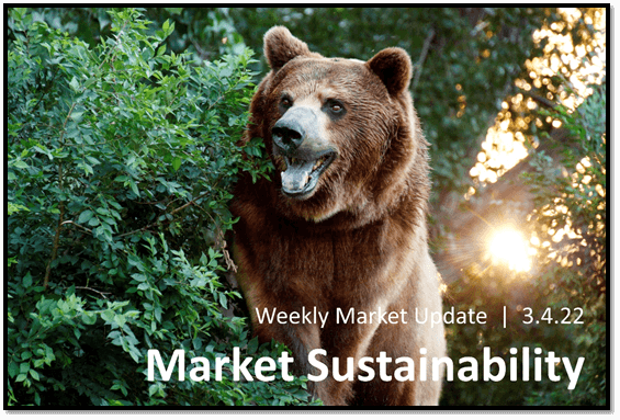 Market Sustainability Cover of a bear in bushes