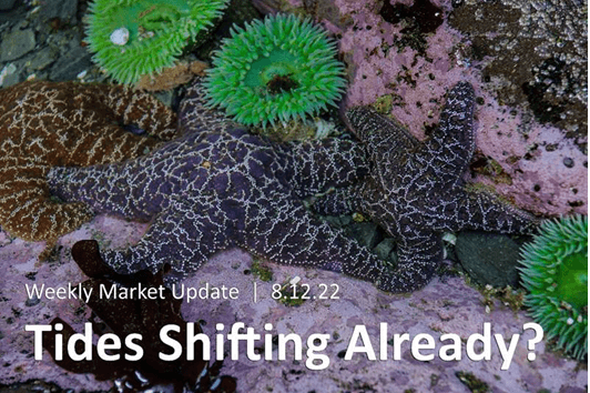 Tides Shifting Already - Star Fish in a TIde Pool