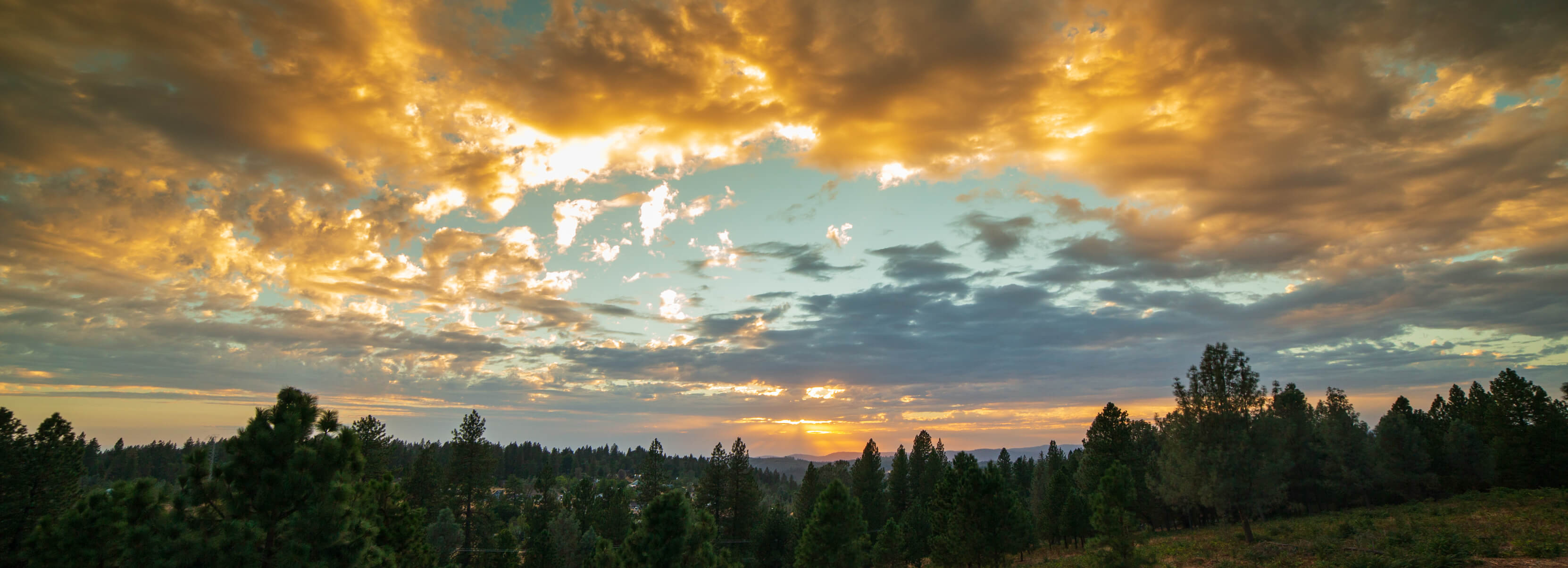 81391498-NCS_StockBanner-7 81391498-NCS_StockBanner-7