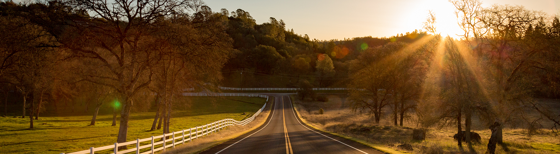 81391497-NCS_StockBanner-2 81391497-NCS_StockBanner-2
