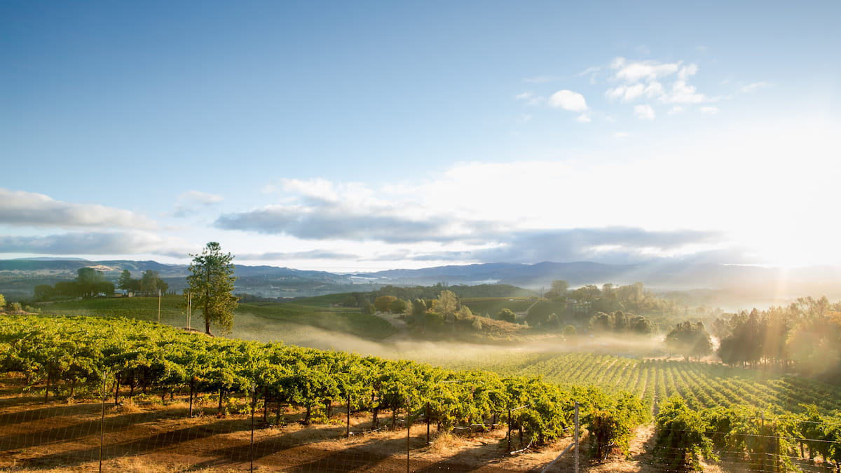 AdobeStock_280313729 AdobeStock_280313729