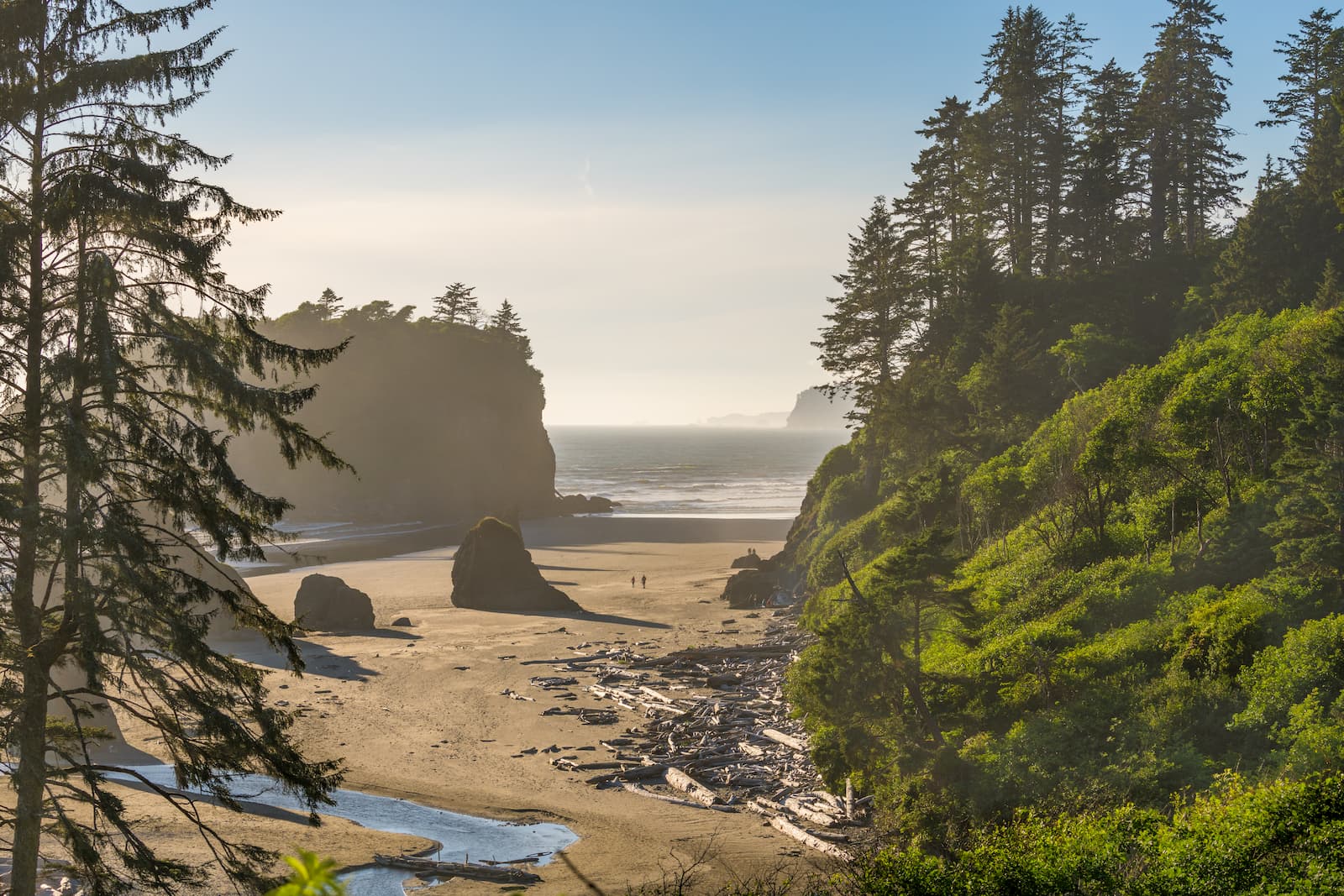 AdobeStock_295647417
